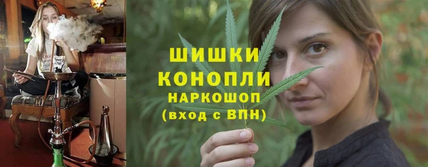 прущие грибы Алзамай