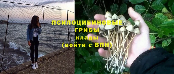 МДПВ Алексеевка
